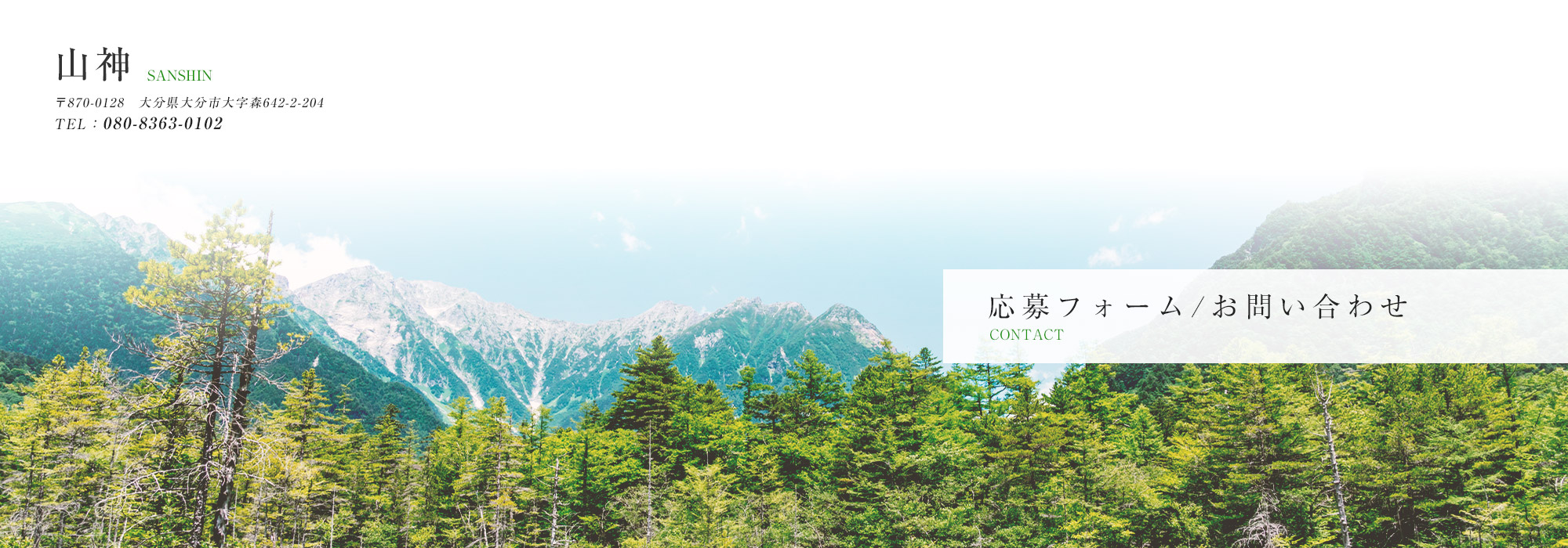 応募フォーム・お問い合わせ