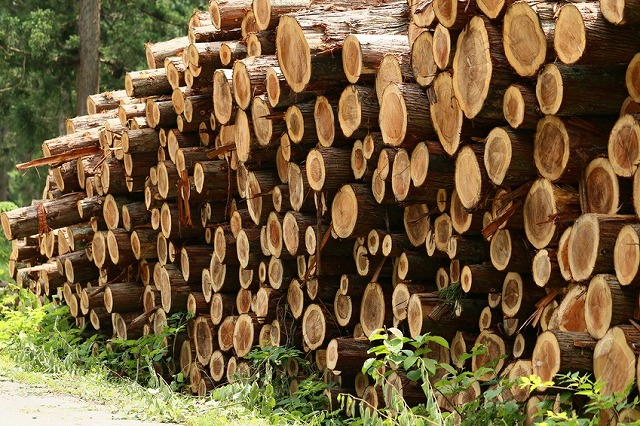 山神　林業　大分　求人